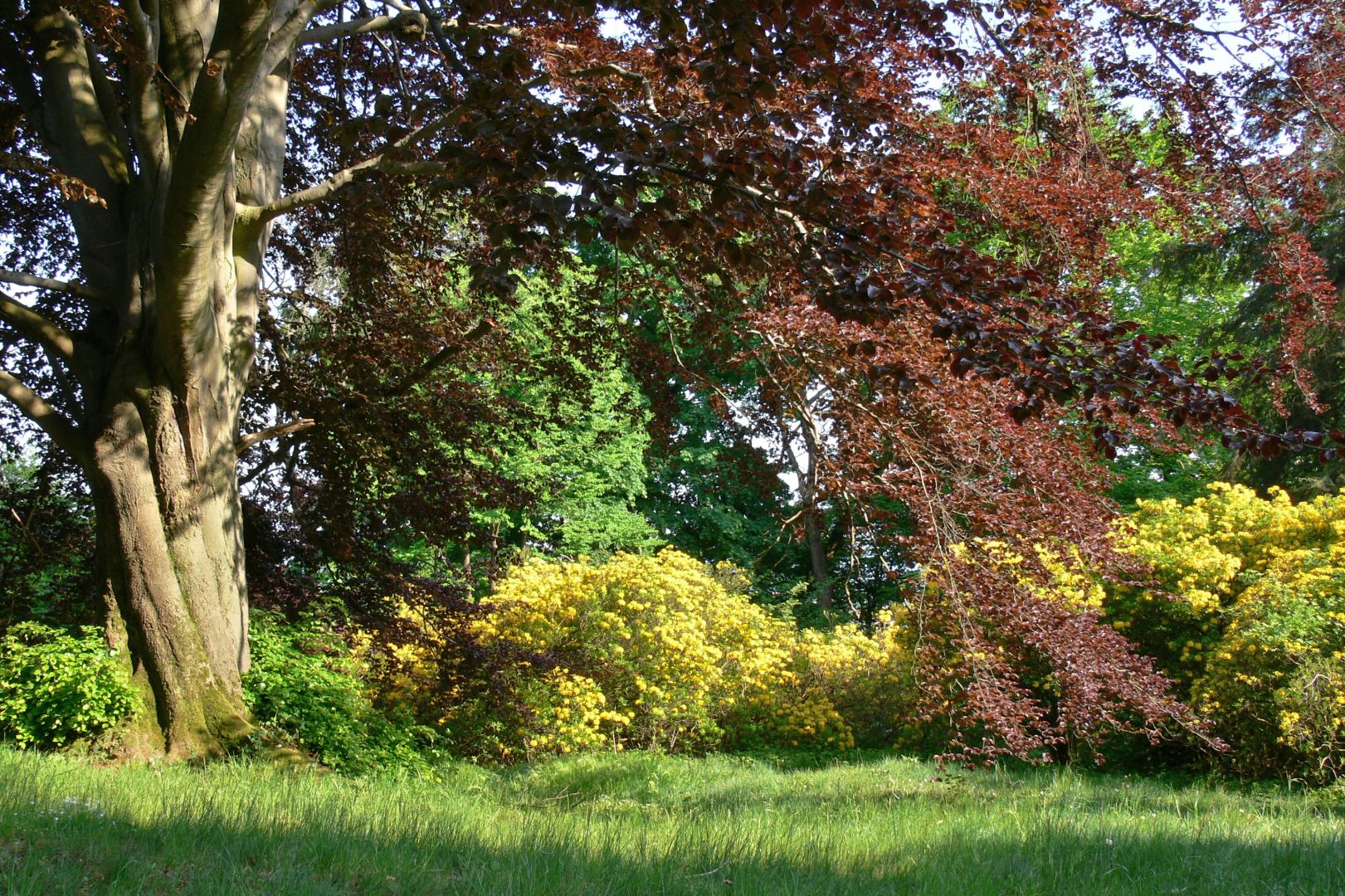 Ohrbergpark