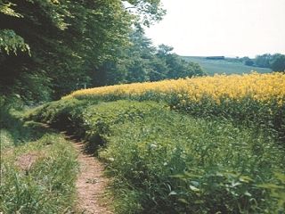 Weserbergland-Weg